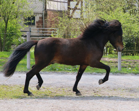 © 2016  by Glockenhof