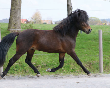 © 2016  by Glockenhof