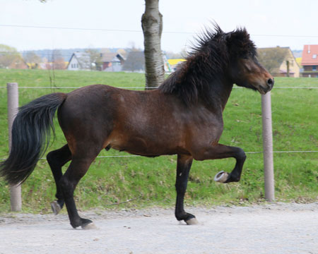 © 2016  by Glockenhof