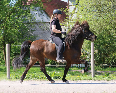 © 2016  by Glockenhof