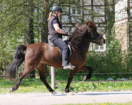 © 2016  by Glockenhof