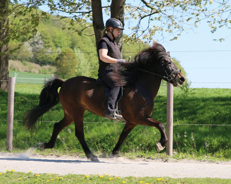 © 2016  by Glockenhof