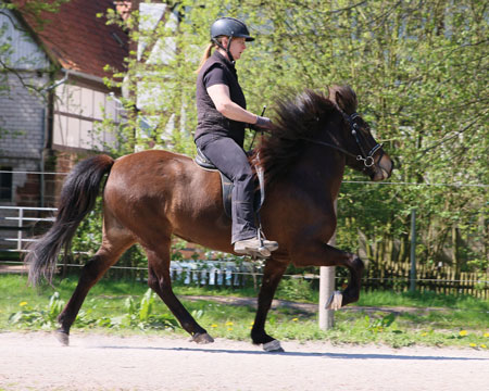 © 2016  by Glockenhof