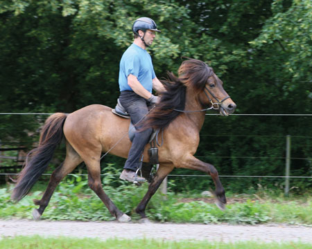 © 2016  by Glockenhof