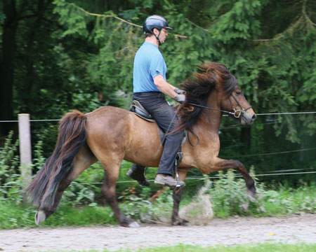 © 2016  by Glockenhof