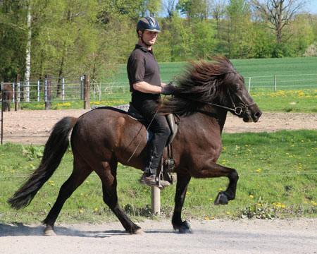 © 2016  by Glockenhof