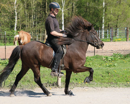 © 2016  by Glockenhof