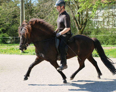 © 2016  by Glockenhof