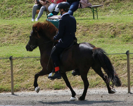 © 2016  by Glockenhof