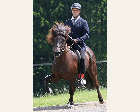 © 2016  by Glockenhof