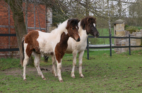 © 2016 by Glockenhof