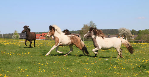 © 2016 by Glockenhof