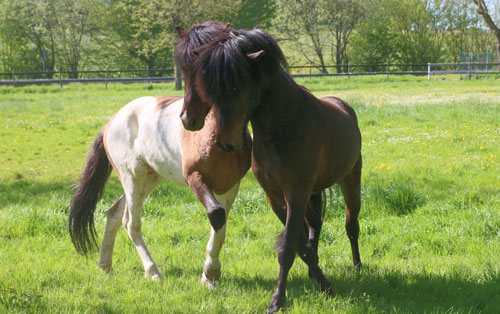 © 2016 by Glockenhof