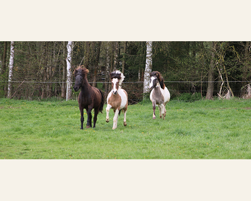 © 2015 by Glockenhof