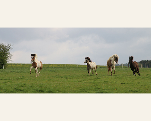 © 2015 by Glockenhof