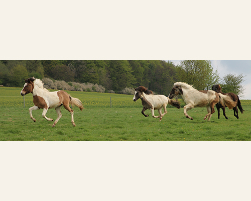 © 2015 by Glockenhof