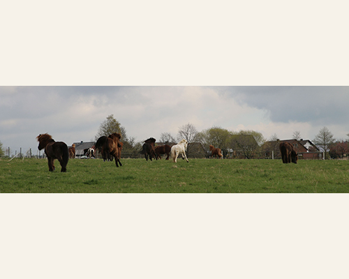 © 2015 by Glockenhof