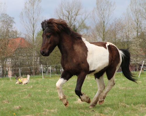 © 2015 by Glockenhof