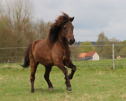 © 2015 by Glockenhof