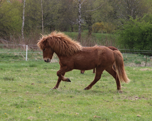 © 2015 by Glockenhof