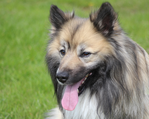 © 2015 by Glockenhof