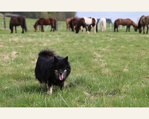 © 2015 by Glockenhof