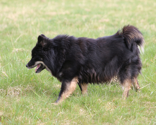 © 2015 by Glockenhof