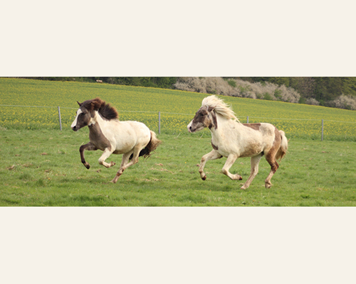 © 2015 by Glockenhof