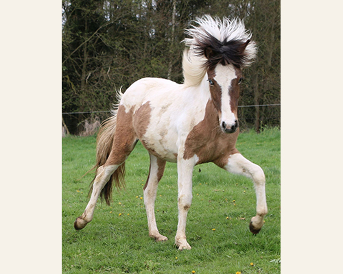 © 2015 by Glockenhof