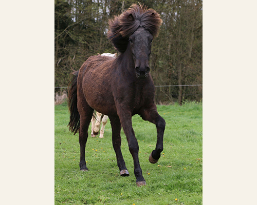 © 2014 by © 2015 by Glockenhof