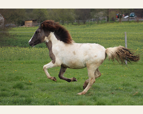 © 2015 by Glockenhof