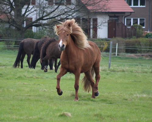 © 2015 by Glockenhof