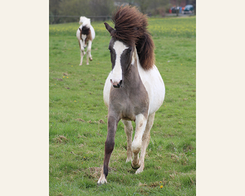 © 2015 by Glockenhof