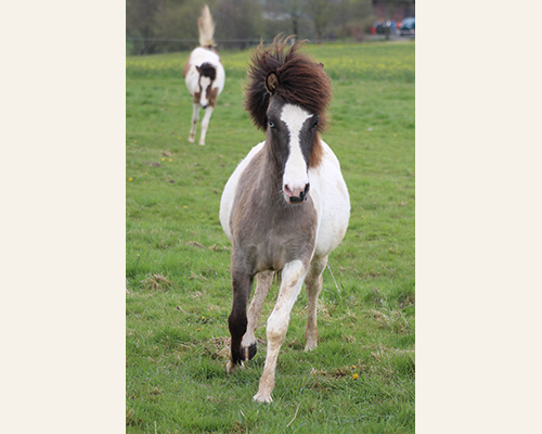 © 2015 by Glockenhof