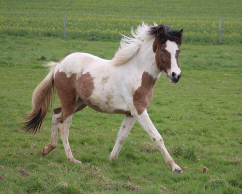 © 2015 by Glockenhof