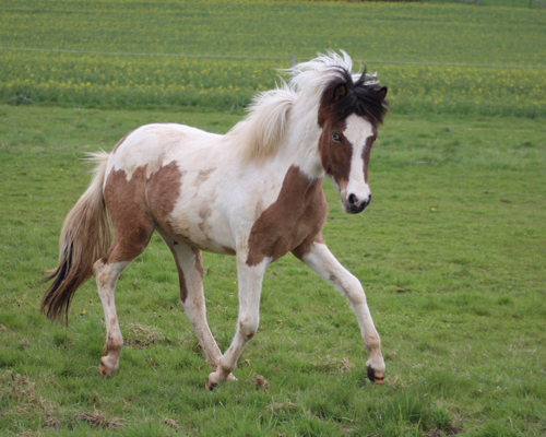 © 2015 by Glockenhof