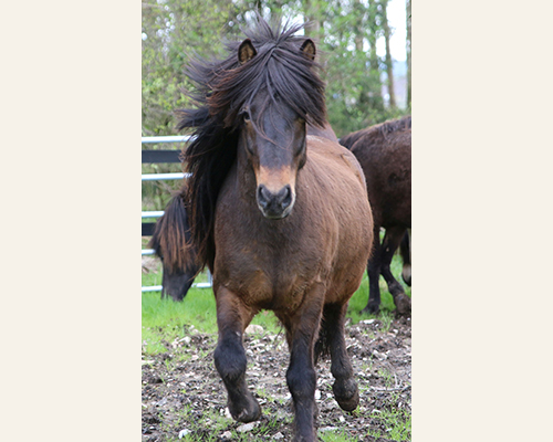 © 2015 by Glockenhof