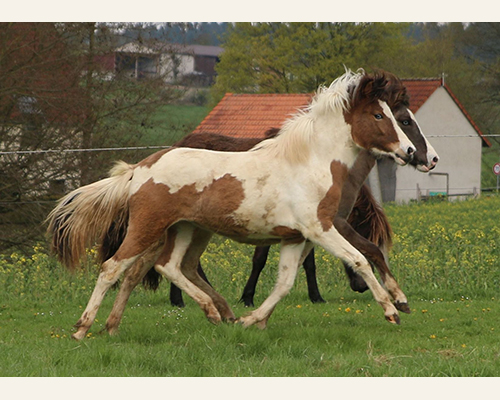 © 2015 by Glockenhof