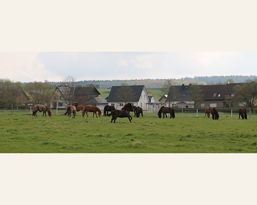 © 2015 by Glockenhof