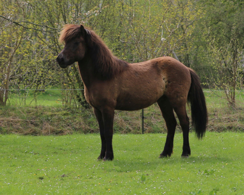 © 2015 by Glockenhof