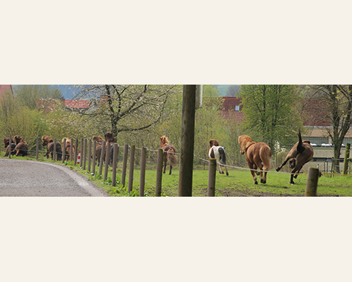 © 2015 by Glockenhof