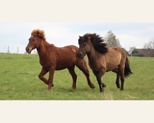 © 2015 by Glockenhof