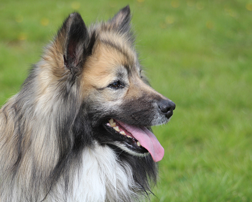 © 2015 by Glockenhof