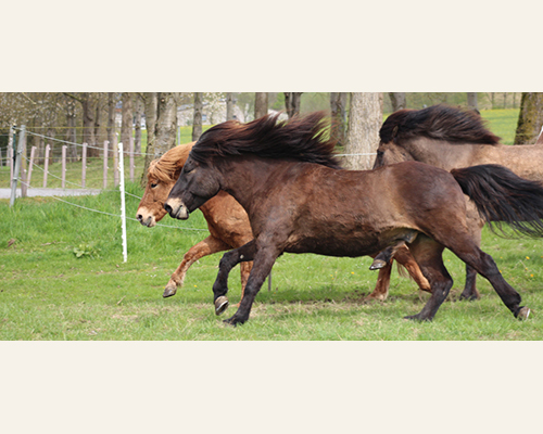 © 2015 by Glockenhof