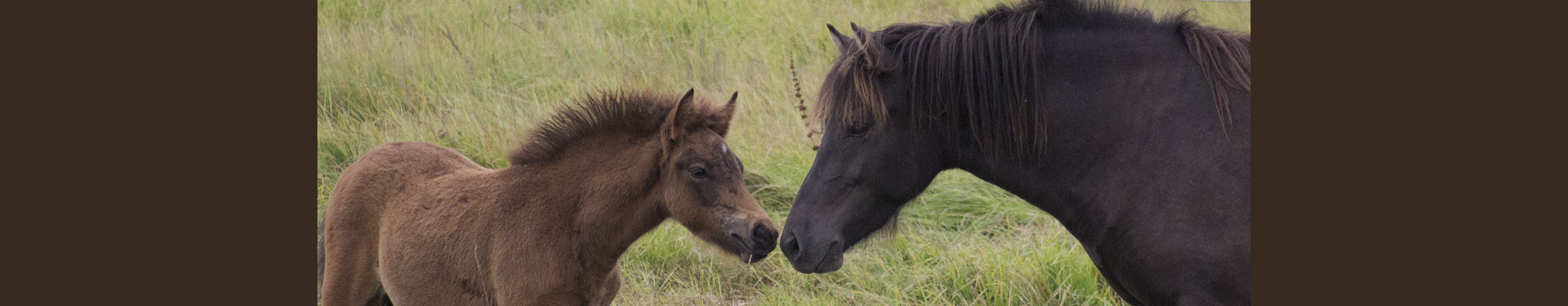 Kaspar vom Glockenhof