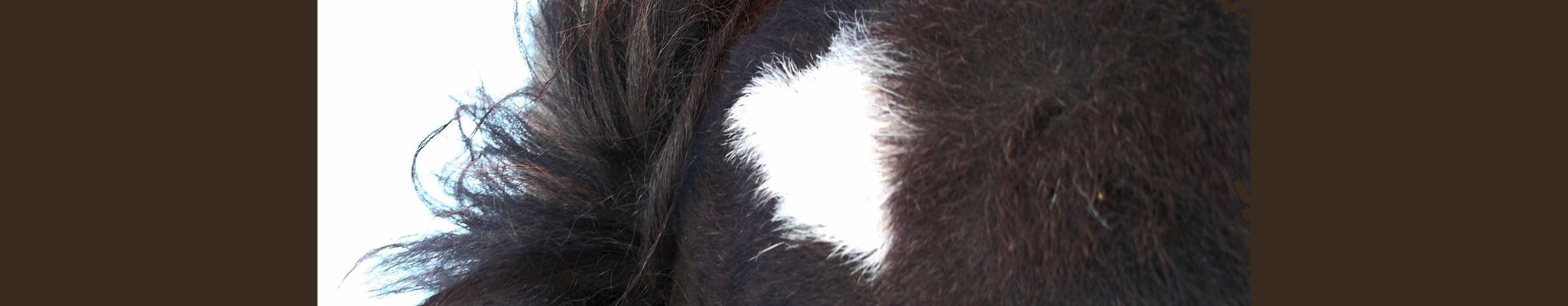 Kaspar vom Glockenhof