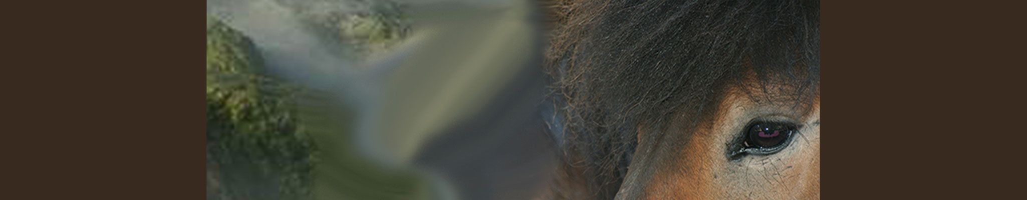 Tilberi vom Glockenhof