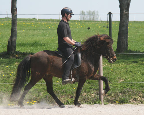 BJALLA1 VOM GLOCKENHOF