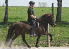 BJALLA1 VOM GLOCKENHOF