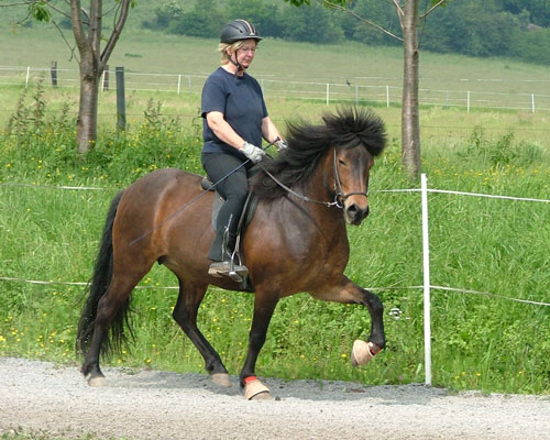 DIMMALIM VOM GLOCKENHOF